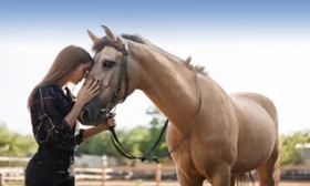 Operatore Pet Therapy Cavallo e Asino