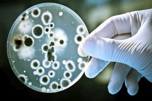 Corso di Microbiologia