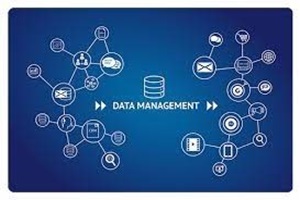 English Course of Excel Data Management